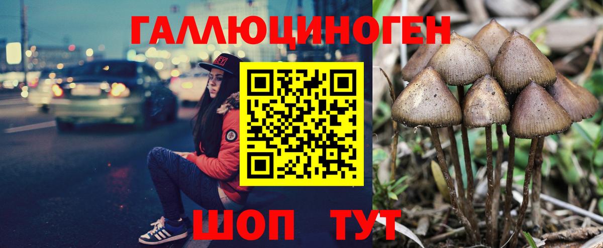 Галлюциногенные грибы Cubensis  Вход с VPN  Торжок 